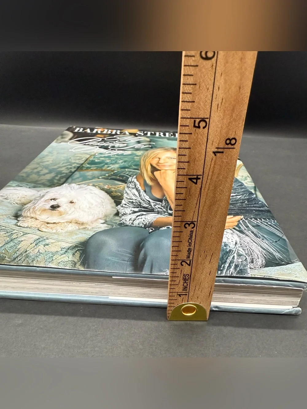 Barbra Streisand My Passion for Design Large Coffee Table Book
